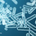 Feeding Our Gut Microbiome for Better Health