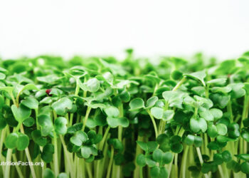 The Best Foods to Fight H. Pylori